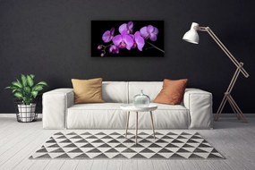 Obraz Canvas Storczyk Orchidea Kwiaty