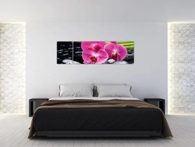 Obraz - Różowe orchidee z liściem palmy (170x50 cm)