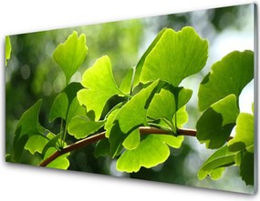 Panel Szklany Zielone Liście na Gałęzi