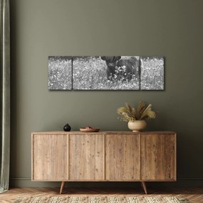 Obraz - Szkocka krowa 5, czarno - biały (170x50 cm)
