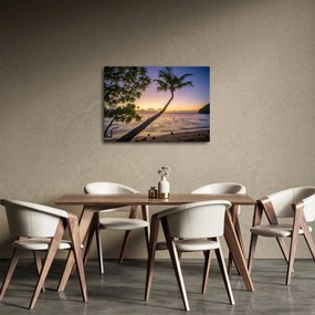 Obraz palmy na plaży (70x50 cm)