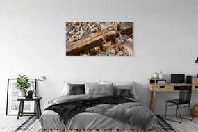 Zdjęcie na płótnie Krzyż, Kamienie i Ciernie