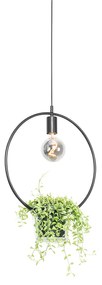 Nowoczesna lampa wisząca czarna ze szklaną okrągłą - Roslini Nowoczesny Oswietlenie wewnetrzne