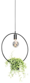 Nowoczesna lampa wisząca czarna ze szklaną okrągłą - Roslini