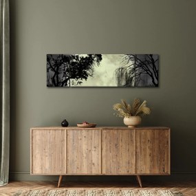Obraz - Księżyc w pełni nad powierzchnią, wersja czarno - biała (170x50 cm)