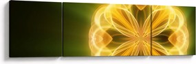 Obraz żółtego kwiatu (170x50 cm)