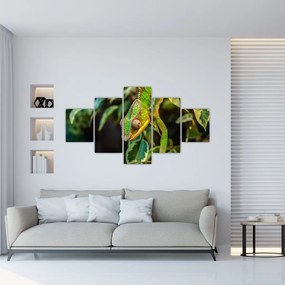Obraz kameleona (125x70 cm)