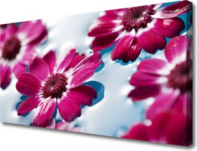 Duży obraz na płótnie Rosa na Puszystym Dmuchawcu