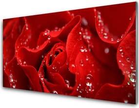 Panel Kuchenny Dzika Róża W Rozkwicie