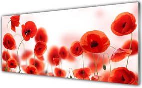 Panel Szklany do Kuchni Czerwone Maki W Polu