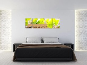 Obraz - Cytat (170x50 cm)