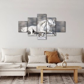 Obraz - Białe konie zimą (125x70 cm)