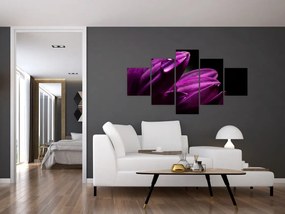 Obraz  - Kropla wody (125x70 cm)