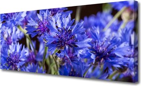 Obraz drukowany na płótnie Artystyczna Wizja Ogrodu