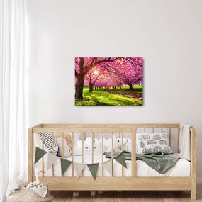 Obraz kwitnących czereśni, Hurd Park, Dover, New Jersey (70x50 cm)