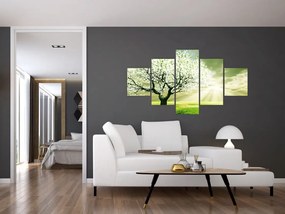 Obraz drzewa na łące (125x70 cm)