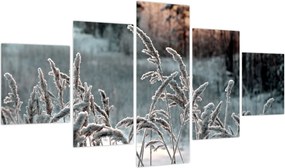 Obraz - Frozen Meadow (125x70 cm)