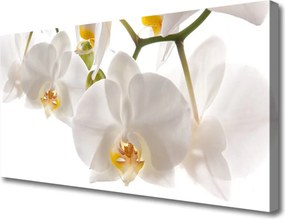 Obraz canvas na ścianę Egzotyczna Orchidea w Detalu