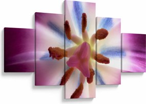 Obraz - Kwiat tulipana w szczegółach (125x70 cm)