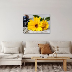 Obraz żółtych kwiatów (70x50 cm)