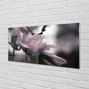 Szklany Panel Magnolia