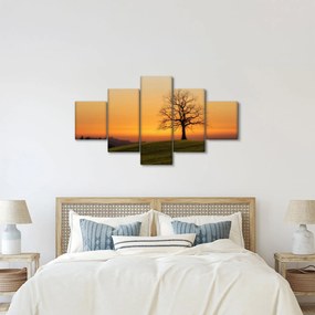 Obraz zachodu słońca na łące (125x70 cm)