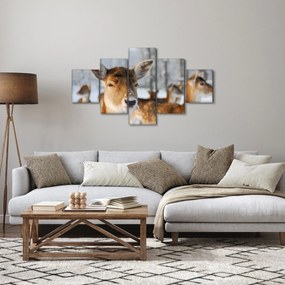 Obraz - Jelonki (125x70 cm)