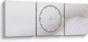 Obraz - Szczegół piórka (z zegarem) (90x30 cm)