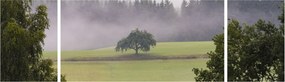 Obraz łąki z drzewem (170x50 cm)