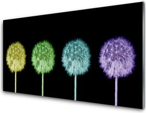 Panel Kuchenny Puszysta Kula Mniszka