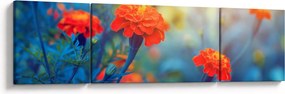 Obraz - Pomarańczowe kwiaty (170x50 cm)