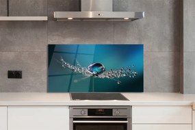 Panel nad Blat Kuchenny Dmuchawiec w Makrofotografii