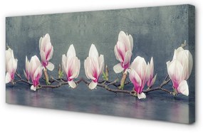 Duży obraz na płótnie Gałąź Magnolii