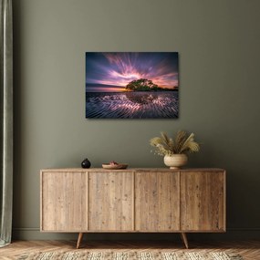 Obraz drzewa na plaży (70x50 cm)