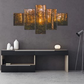 Obraz jesiennego lasu (125x70 cm)