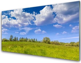 Szkło do Kuchni na Ścianę Bezkres Zielonej Hali