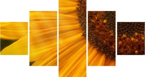 Obraz - Słoneczniki (125x70 cm)