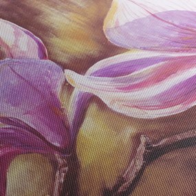 Obraz - Kwiaty magnolii (125x70 cm)