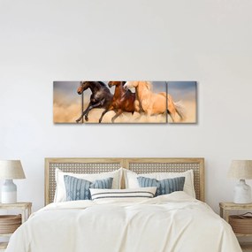 Obraz - Dzikie konie (170x50 cm)