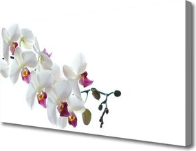 Obraz na płótnie Rajski Ogród Kwiatowy