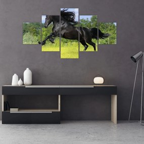 Obraz - Koń z płynącą grzywą (125x70 cm)