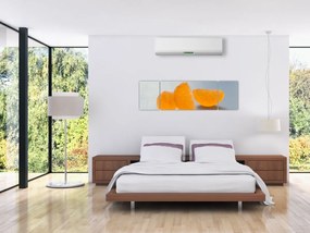 Obraz mandarynek (170x50 cm)