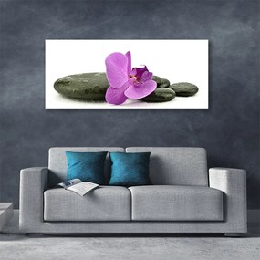Obraz canvas Królewska Orchidea w Detalu