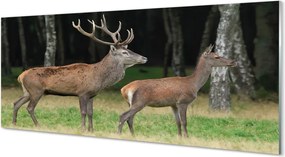 Panel Szklany Jeleń w Gęstwinie Leśnej