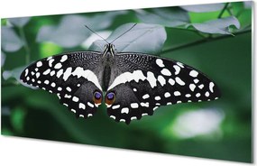 Panel Szklany Motyl na Zielonych Liściach