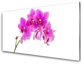 Obraz Akrylowy Storczyk Kwiat Orchidea