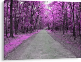 Obraz - Ścieżka przez park (70x50 cm)