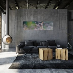 Obraz - Szczegół trawy (170x50 cm)