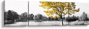 Obraz - Odpoczynek w parku (170x50 cm)