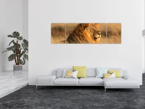 Obraz - Park Narodowy Etosha (170x50 cm)